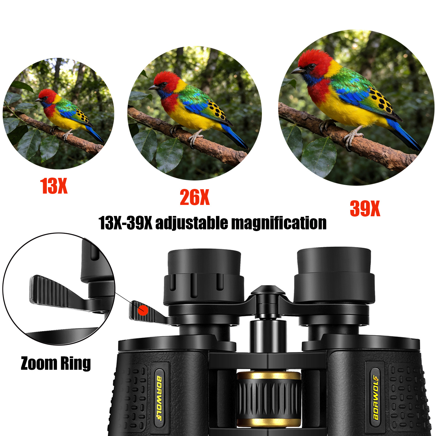 BORWOLF 13-39X70 ED Binocolo T - National Geographic Telescope 70Mm recensione e prezzo