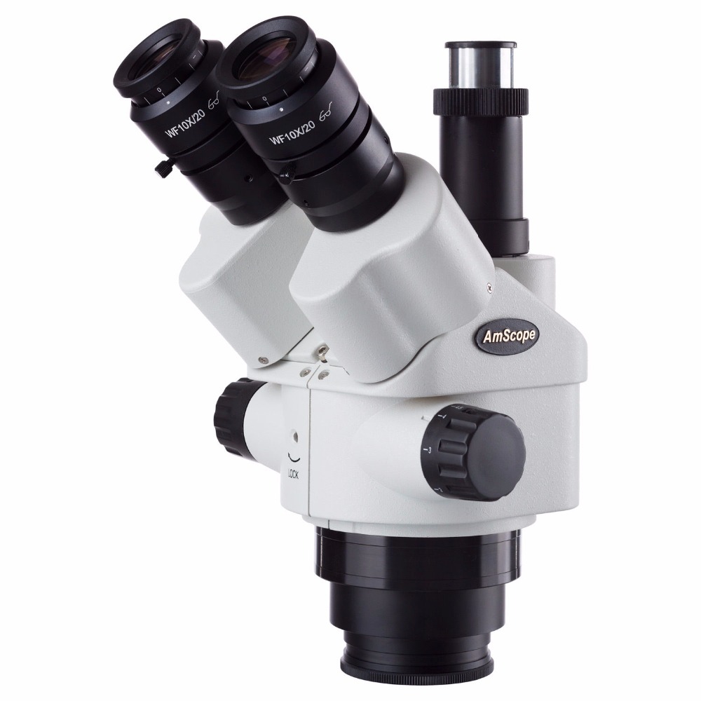 Microscopio stereo con zoom tr - Amscope Microscope Stereo 7X-45X recensione e prezzo